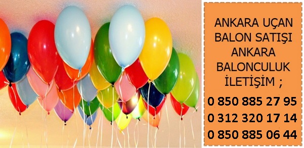 Ankara Fiyonk Balon Süslemesi fiyatı